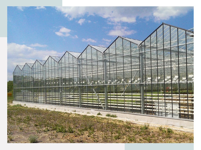 Строительство теплиц в Дзержинский от 614 руб. за м²